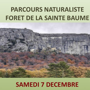 Parcours naturaliste<br /> Forêt de la Sainte Baume <br /> le samedi 7décembre 2019